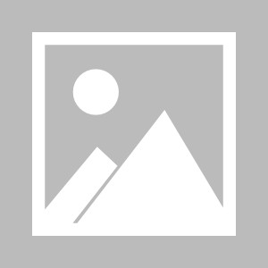 必赢体育官方网站-14年后单季季后赛遭夹击每回合得分 本季SGA第3 冠军眉詹位列前二